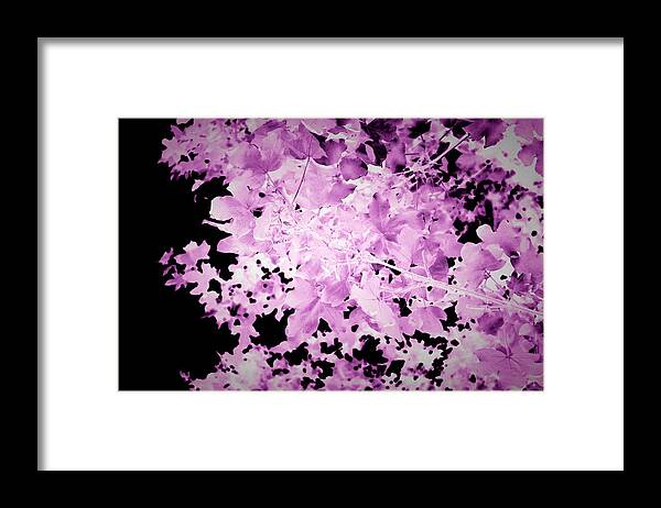Ultraviolet Framed Print featuring the mixed media Purple Autumn Leaves by Itsonlythemoon -
