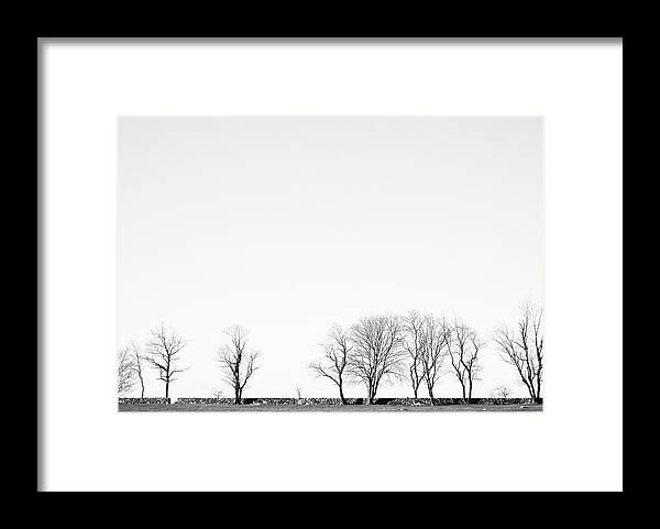 Trees Framed Print featuring the photograph Under a Winter Sky by Nancy De Flon