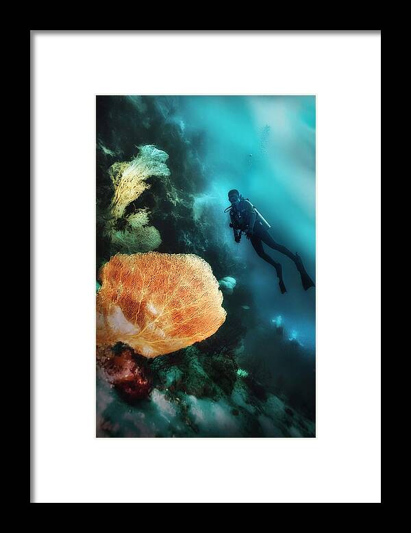 Underwater Framed Print featuring the photograph Underwater Beauty by Johannes Oei