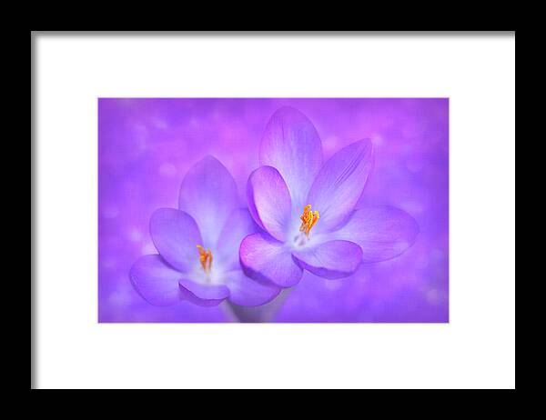 Purple Framed Print featuring the photograph Unison by Iryna Goodall