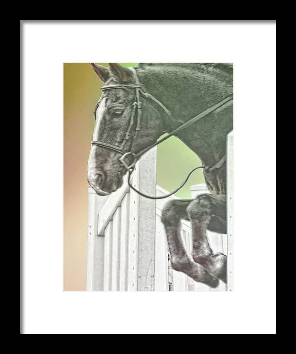 Art Framed Print featuring the photograph Up And Over by Dressage Design