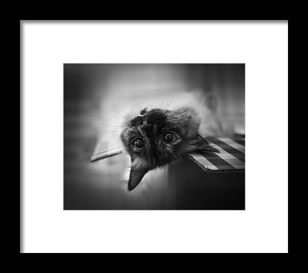 Black-and-white Framed Print featuring the photograph Upside Down by Leah Guo