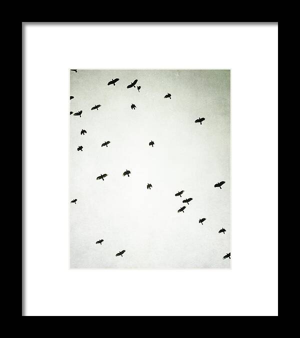 Birds Framed Print featuring the photograph Upward by Lupen Grainne