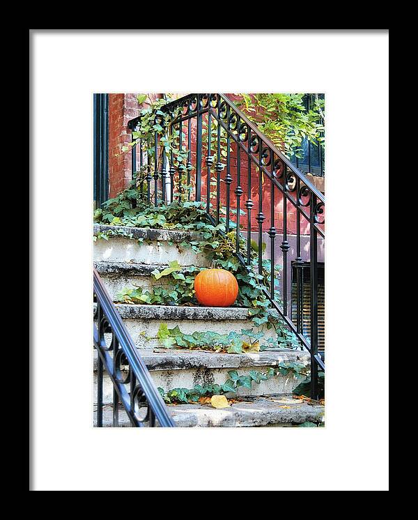 All Framed Print featuring the photograph Urban Fall by JAMART Photography