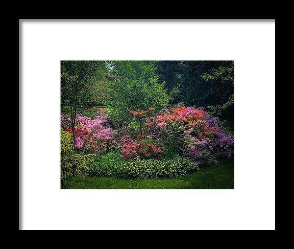 Flowers Framed Print featuring the photograph Urban Flower Garden by Lora J Wilson