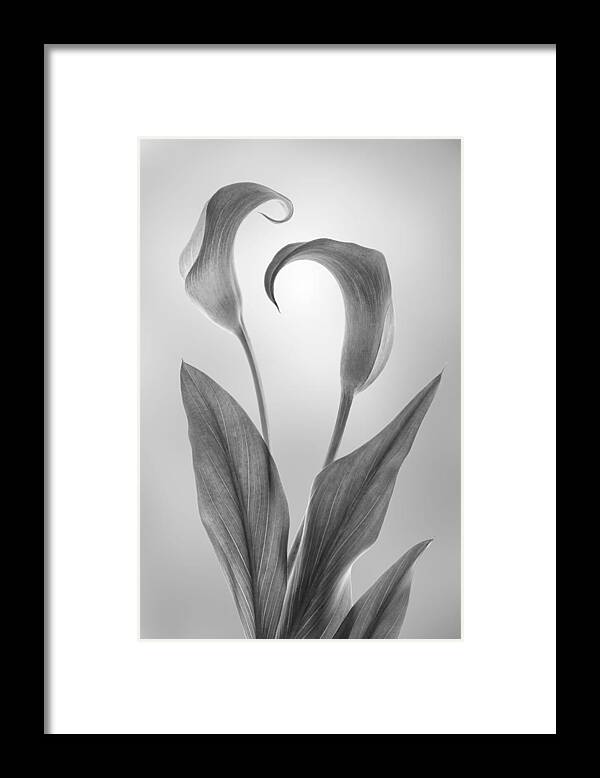 Blackandwhite Framed Print featuring the photograph Usa, Washington State, Seabeck. Black by Danita Delimont