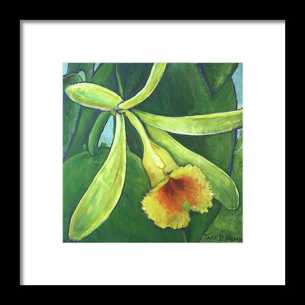 Orchid Framed Print featuring the painting Vanilla Orchid by Tara D Kemp