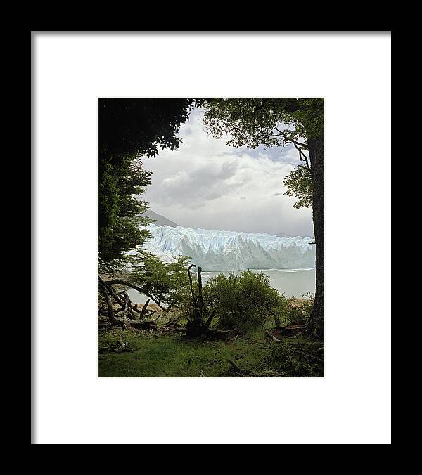 Scenics Framed Print featuring the photograph View Of Iceberg Through Trees by Michael Blann