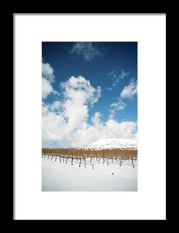 Tranquility Framed Print featuring the photograph Vineyard In The Snow by Ran Zisovitch