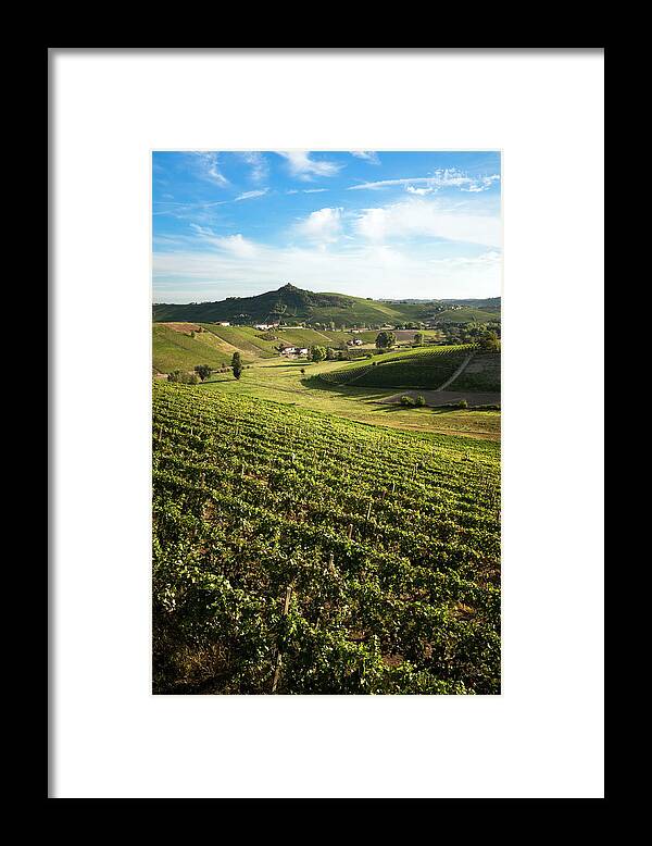 Scenics Framed Print featuring the photograph Vineyards by Scacciamosche