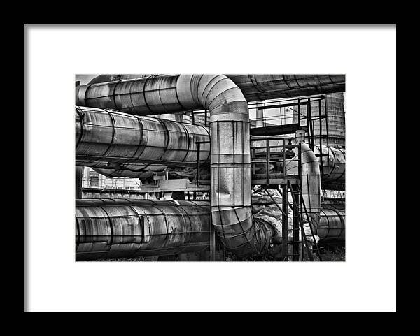 Piping Framed Print featuring the photograph Vipers Nest by Alexander Karman
