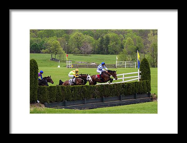 Steeplechase Framed Print featuring the photograph Virginia Gold Cup by Fred DeSousa