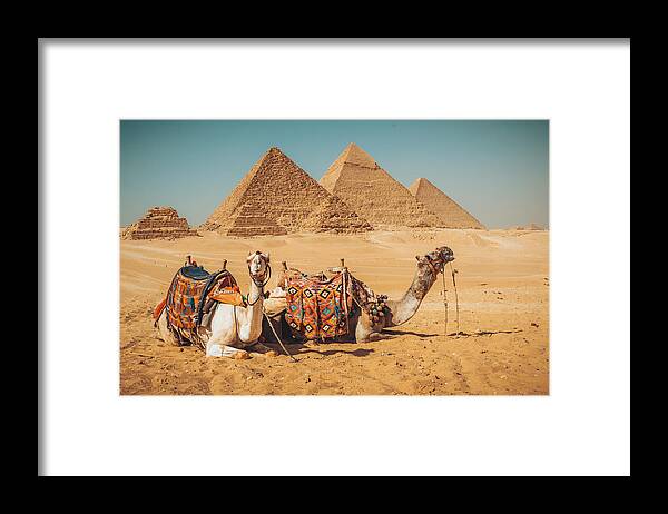 Camels Framed Print featuring the photograph Visit To The Pyramids by Nagy Karoly