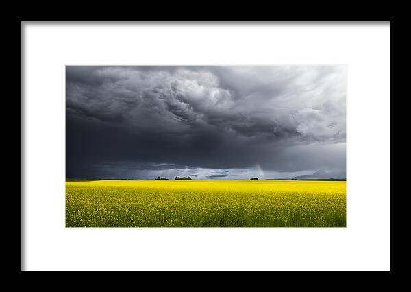 Landscape Framed Print featuring the photograph Vojvodina by Bess Hamiti