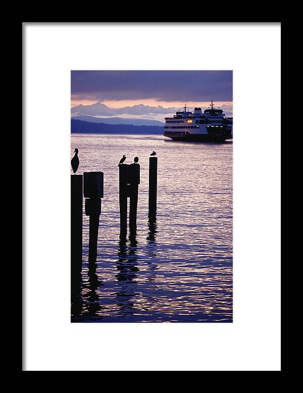 Pole Framed Print featuring the photograph Wa State Ferry Coming In To Dock by Lonely Planet