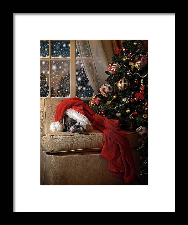 Dog Framed Print featuring the photograph Waiting For Santa by Ddiarte