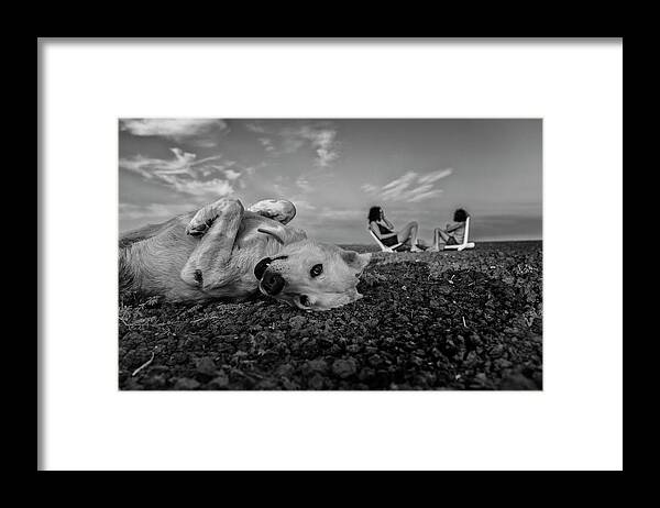 Cute Framed Print featuring the photograph Waiting Patiently by Avi Morag