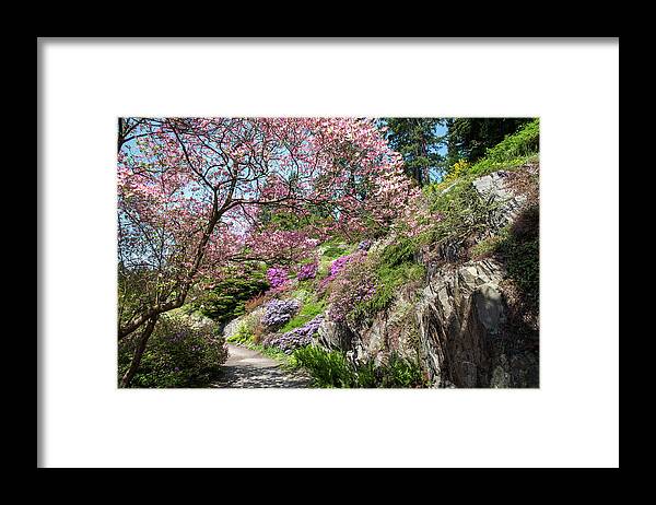 Jenny Rainbow Fine Art Photography Framed Print featuring the photograph Walk in Spring Eden. Heavenly Blooms 1 by Jenny Rainbow