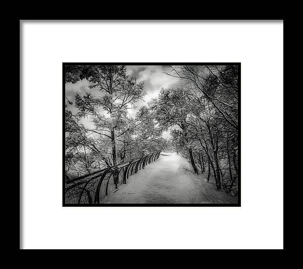 Arizona Framed Print featuring the photograph Walk this Way by Will Wagner