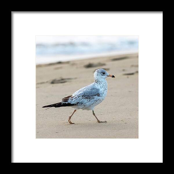 Surf Framed Print featuring the photograph Walk With Purpose by Donna Twiford