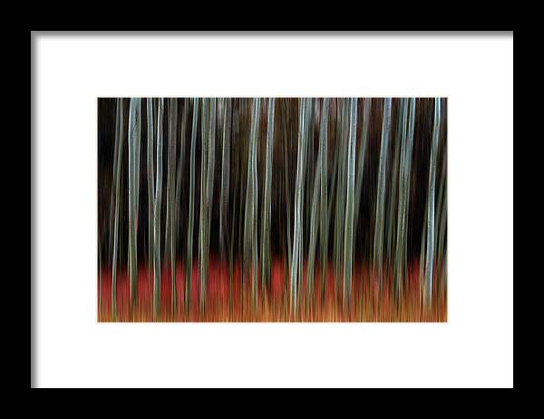 Scenery Framed Print featuring the photograph Walking Into Darkness by James BO Insogna