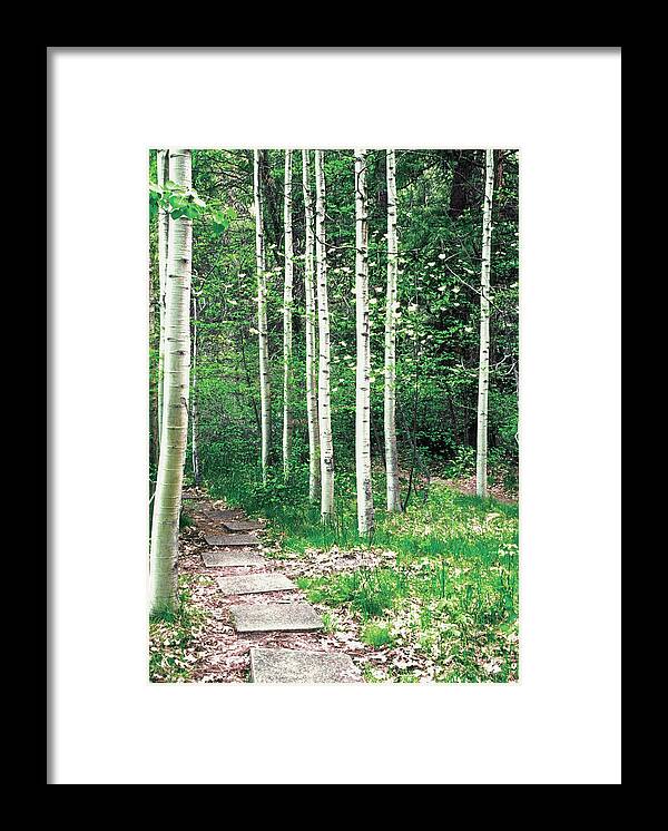 Mariposa County Framed Print featuring the photograph Walkway Through A Forest, Yosemite by Medioimages/photodisc