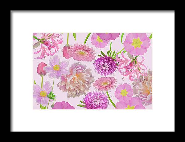 Wall Flowers Violet Framed Print featuring the photograph Wall Flowers Violet by Cora Niele
