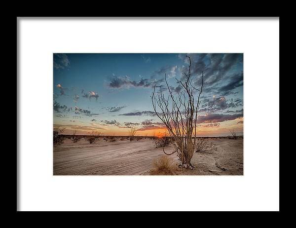 Desert Framed Print featuring the photograph Wander Without Reason by Denise LeBleu