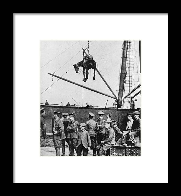 Horse Framed Print featuring the photograph War Horse Arrives In France by Hulton Archive