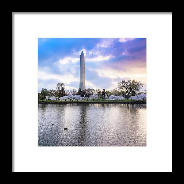 Tidal Basin Framed Print featuring the photograph Washington Monument With Cherry by Drnadig