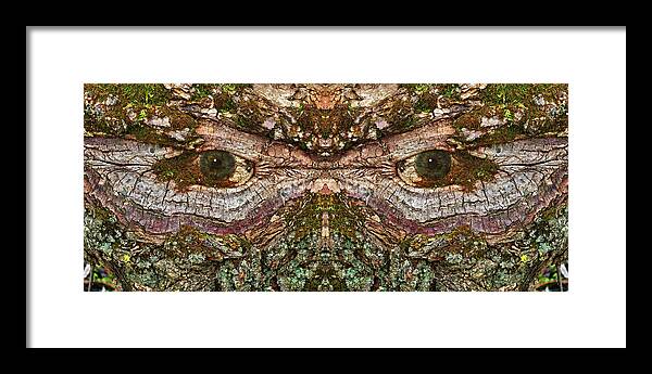 Wood Tree Eye Freaky Mask Scary Ent Organic Life Moss Algae Eyes Eyeball Watching Watcher Abstract Psychodelic Nightmare Frightful Monster Dark Forest “green Man” Framed Print featuring the photograph Watcher in the Wood #1 - Human face and eyes hiding in mirrored tree feature- Green Man by Peter Herman
