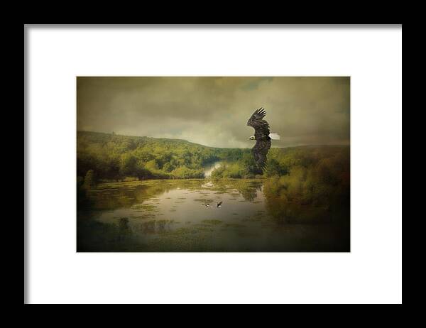 Eagle Framed Print featuring the photograph Watching The Competition by Jai Johnson