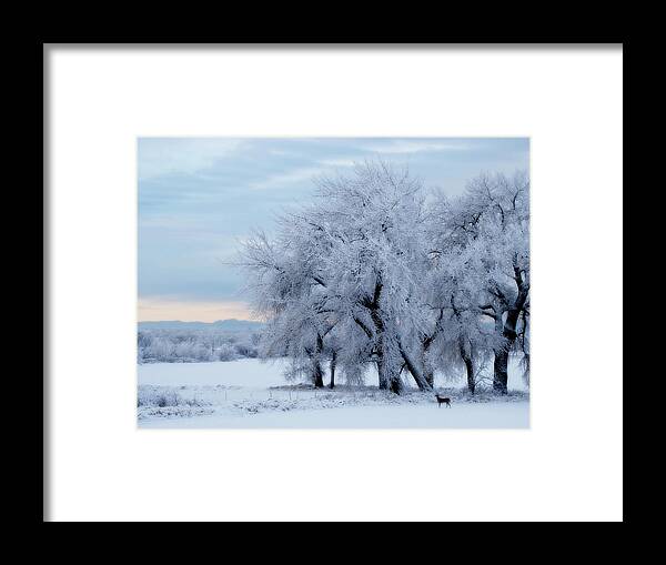 Scenics Framed Print featuring the photograph Watching The Sunrise by Moosebitedesign