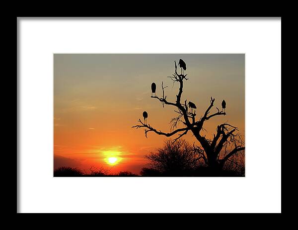  Framed Print featuring the photograph Watching the Sunset by Eric Pengelly