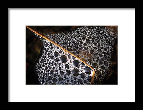 Water Framed Print featuring the photograph Water Bubbles by Bror Johansson