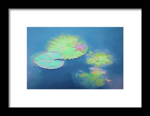 Plant Framed Print featuring the photograph Water Color by John Kirkland