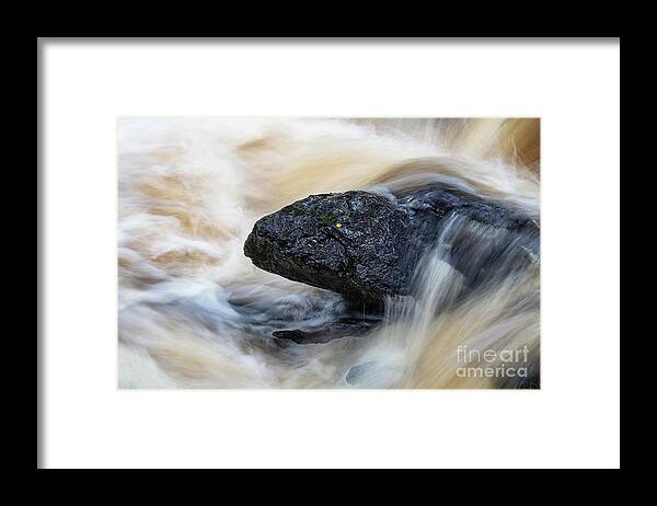 Water Framed Print featuring the photograph Water Dragon by Tim Gainey