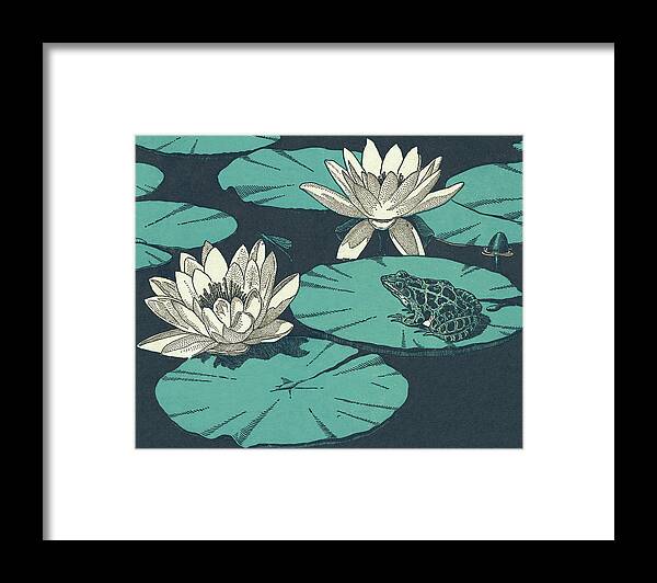 Amphibian Framed Print featuring the drawing Water Lillies and Toad by CSA Images