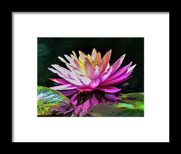Water Lily Abstract Framed Print featuring the digital art Water Lily Abstract by Mary Ann Artz