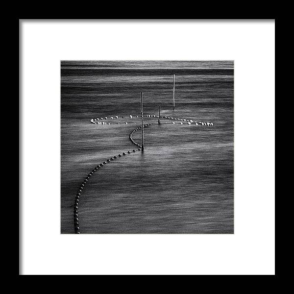 Water
Lake
Fishing Net
Fish
Minimalism Framed Print featuring the photograph Water Necklace by Benjamine Hullot Scalvenzi