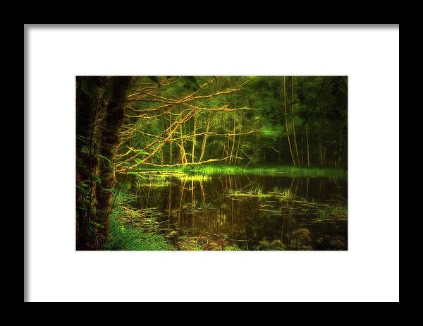 Oregon Framed Print featuring the photograph Water Nymph Habitat by Dee Browning