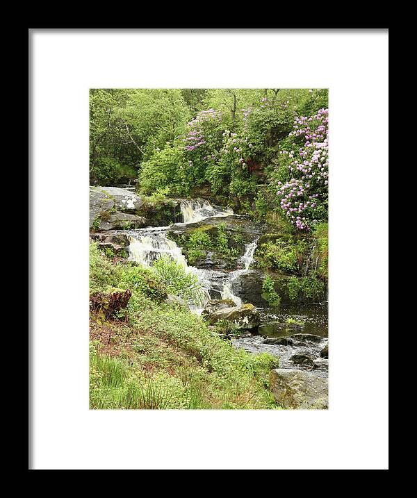 Waterfall Framed Print featuring the photograph Waterfall And Gardens by Jeff Townsend