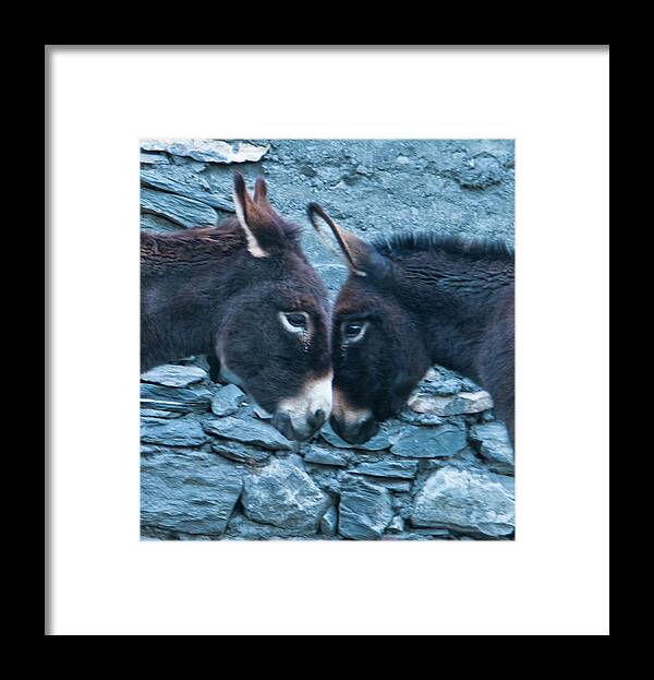 Burro Framed Print featuring the photograph Eye To Eye, Nose To Nose, Heart To Heart by Leslie Struxness