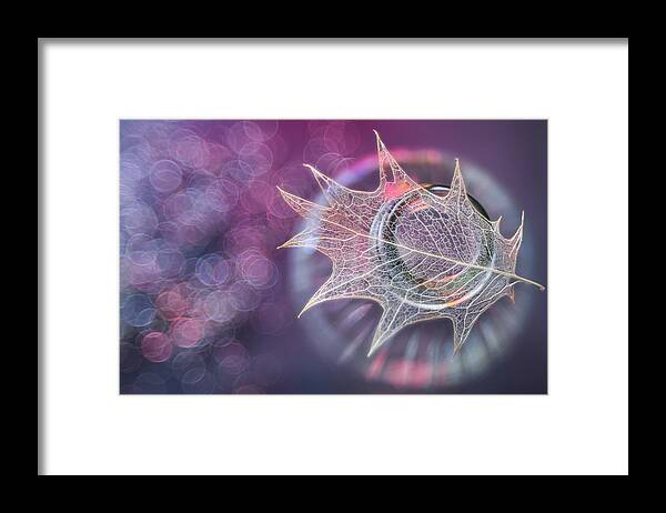 Macro Framed Print featuring the photograph Weakness And Beauty by Shihya Kowatari