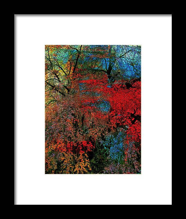 Surreal Framed Print featuring the photograph Weeping Cherry Surreal Abstract by Mike McBrayer