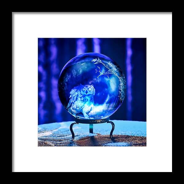 After Dark Framed Print featuring the photograph What is Your Spirit Animal? by Judy Kennedy
