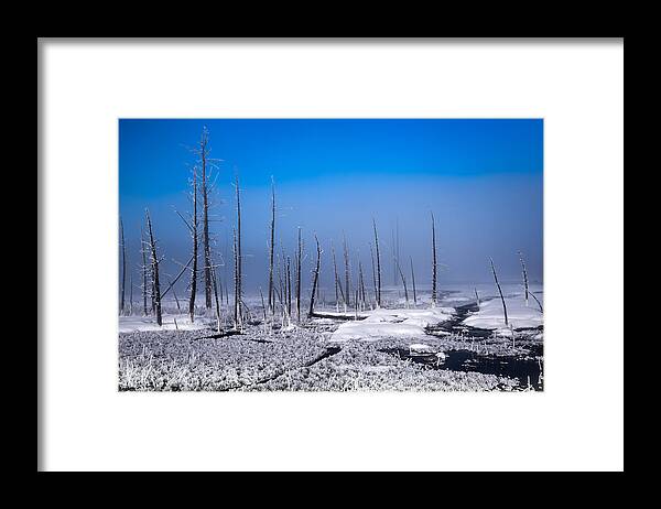 Yellowstone National Park Framed Print featuring the photograph When Life Is Still by Karen Wiles