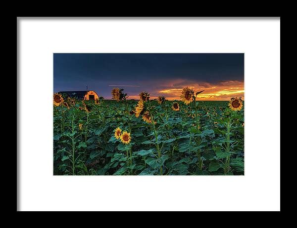 Colorado Framed Print featuring the photograph Whispers Of Summer by John De Bord