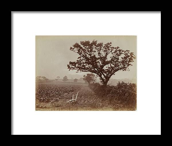 Outdoors Framed Print featuring the photograph Whitby Field by Frank Meadow Sutcliffe