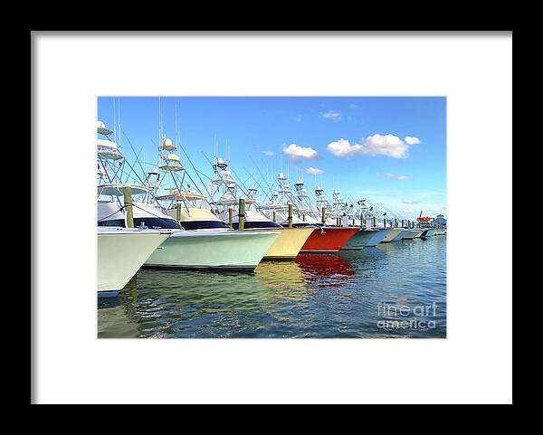 White Marlin Open Framed Print featuring the photograph White Marlin Open 2018 2 by Carey Chen